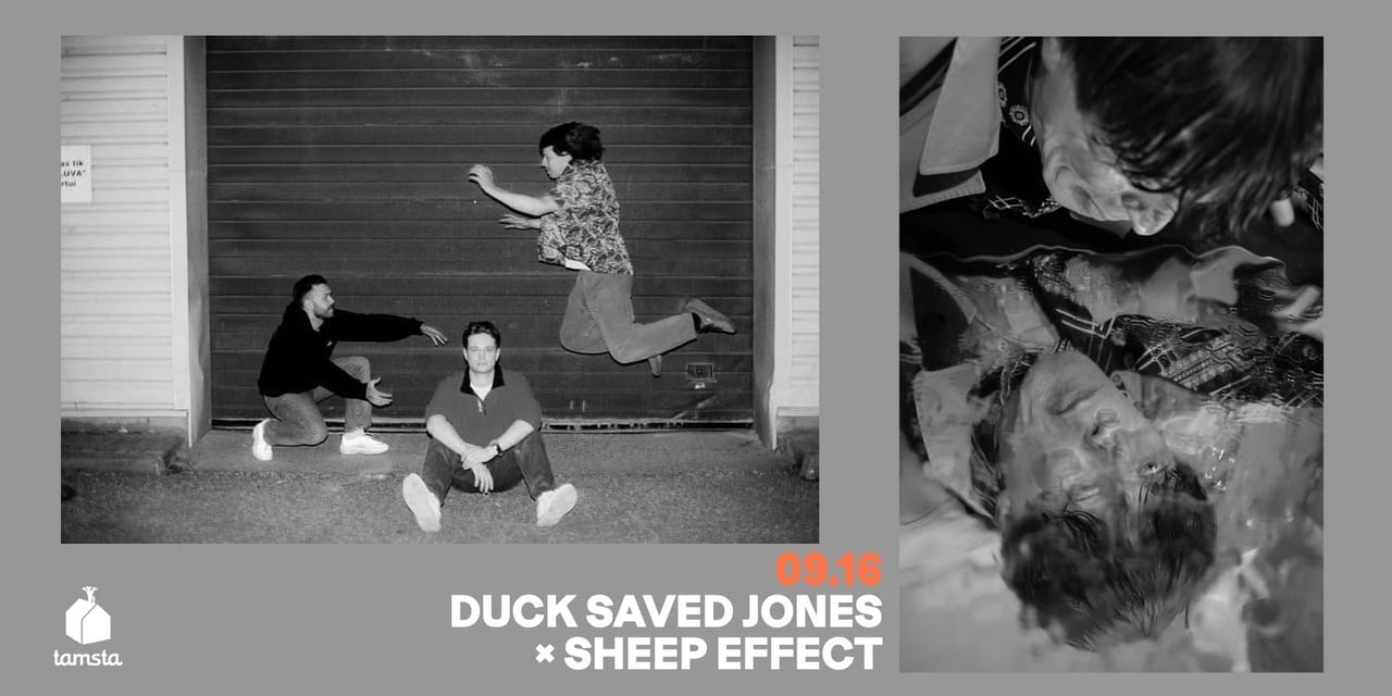 Duck saved jones × sheep effect