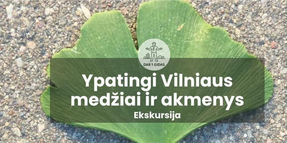 Tour: Special Trees and Stones of Vilnius