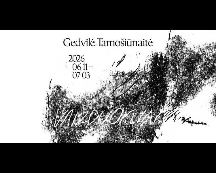 Gedvilė Tamošiūnaitė. Paroda „Vaizduokliai“