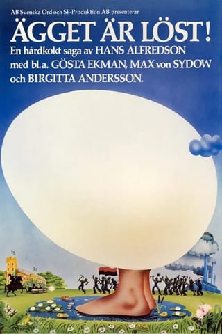 Kiaušinis minkštas! Kietai virta istorija
