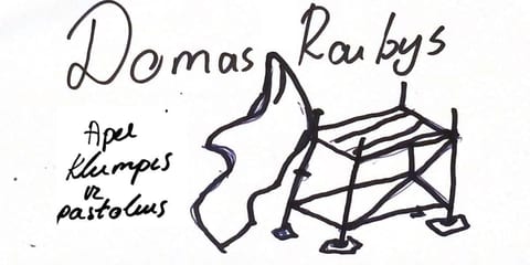 Domas raibys : apie klumpes ir pastolius