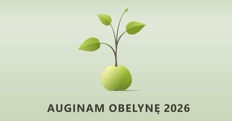 Auginam Obelynę 2026