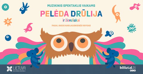 Pelėda Drūlija 2