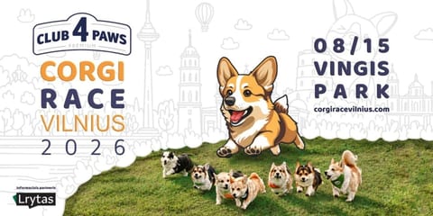 Corgi Race Vilnius 2026