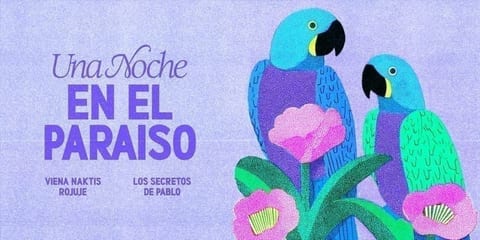 Los Secretos De Pablo 03.19 | Viena Naktis Rojuje | Tamsta