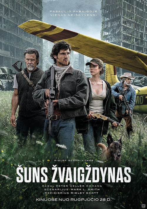 Šuns žvaigždynas