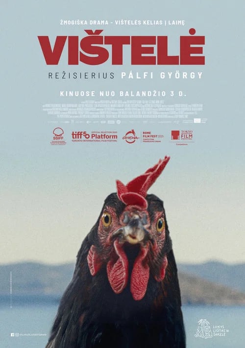 Vištelė