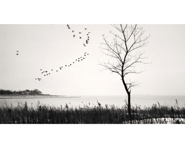 Mindaugas Gabrėnas' photography exhibition "Still Water"