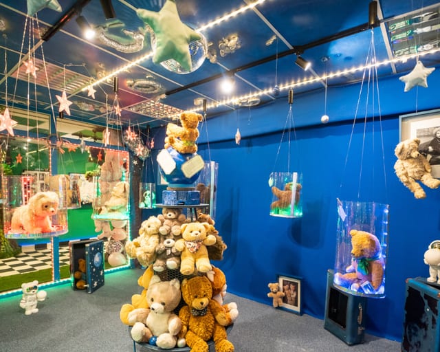 Teddy Bear Museum ”PLUSHY B 55”