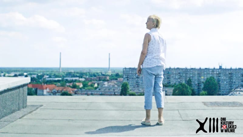 FILMAS „MOTERIS ANT STOGO“ (Kobieta na dachu)
