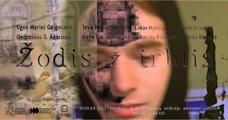 Žodis žvirblis · Ekskursijos su kuratoriumi