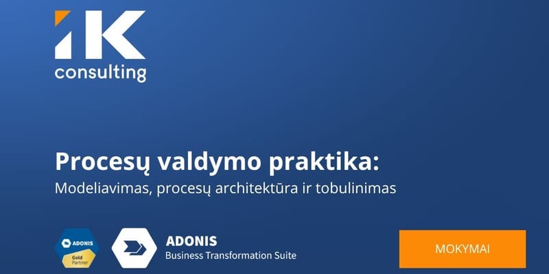 Procesų valdymo praktiniai mokymai